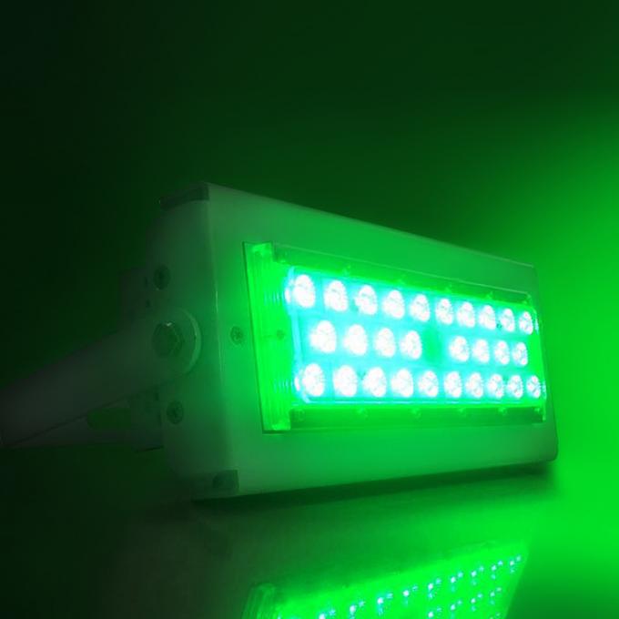 단계 플라자 색깔 장식 7을 위한 RGB LED 투광 조명등 80W를 수용하는 5년 보증 알루미늄