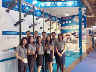 Shenzhen Leyond Lighting Co.,Ltd.